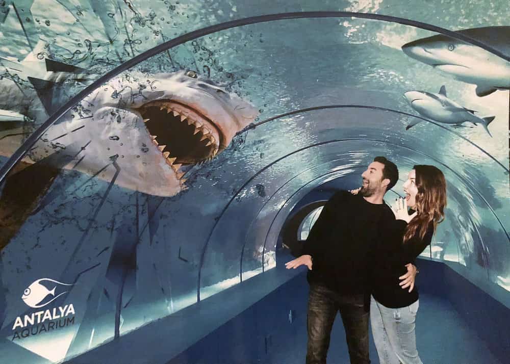 The world’s Biggest Tunnel Aquarium